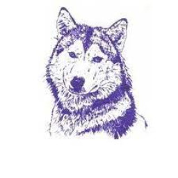 Wahpeton Senior High School mascot