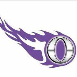 Oakwood High School mascot