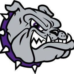 Brownsburg High School mascot
