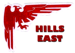 Half Hollow Hills East High School mascot