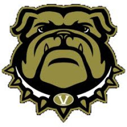 Lamar County High School mascot