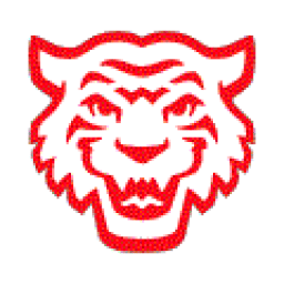 Williamson High School mascot