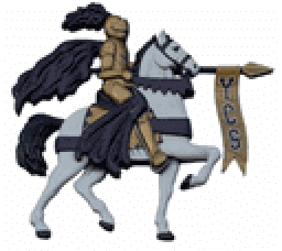 York Junior Senior High School mascot