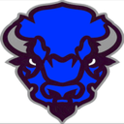 Bedford Area High School mascot