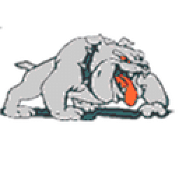 Freedom High School mascot