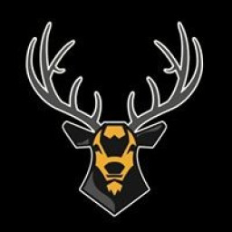 Round Valley High School mascot