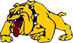 Aquin High School mascot