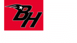 Bunker Hill High School mascot