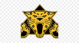 Windsor High School mascot