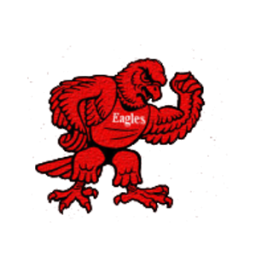 Odin High School mascot