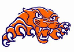 Pana High School mascot