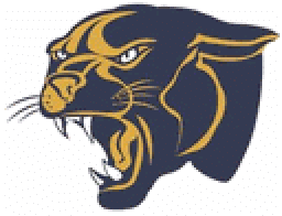 Round Lake High School mascot