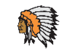 Tuscola High School mascot