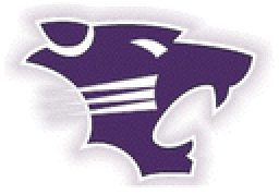 Wilmington High School mascot