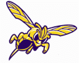 Angola High School mascot