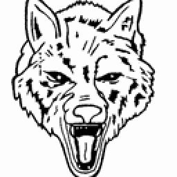 Boone Grove High School mascot