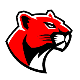 Albany High School mascot