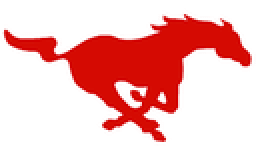 Munster High School mascot