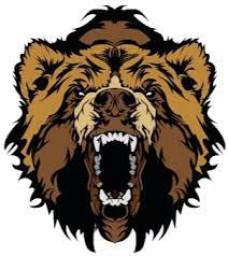 Lima High School mascot