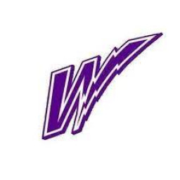 Minor High School mascot