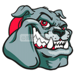 Chase County High School mascot
