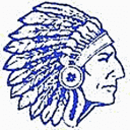 Clearwater High School mascot