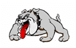 Marysville Junior Senior High School mascot