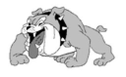 Quinter High School mascot