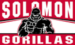 Solomon High School mascot