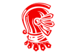 Wellington High School mascot