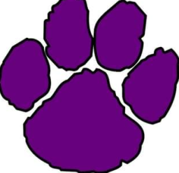 Buckhorn High School mascot