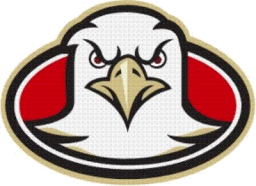 Fairview High School mascot