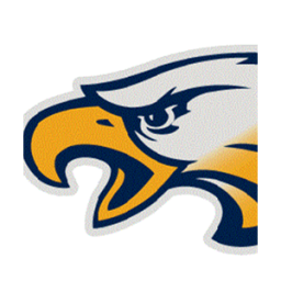 Franklin County High School mascot