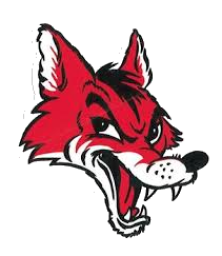 Ely Memorial High School mascot
