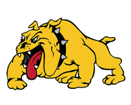 Bettendorf High School mascot
