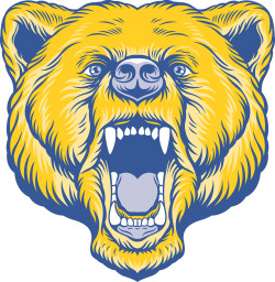 Bartlett High School mascot