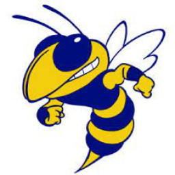 Curry High School mascot