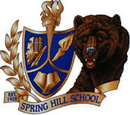 Spring Hill High School mascot
