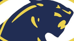 Dewitt Senior High School mascot
