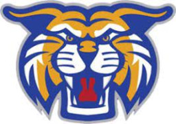 Saint Joe High School mascot