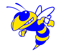 Mountain View Senior High School mascot