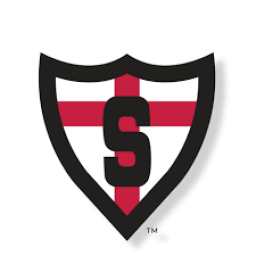 Shanley High School mascot