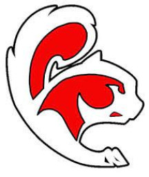 Central Cass High School mascot