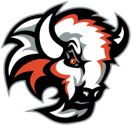 McCook High School mascot