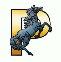Parker High School mascot