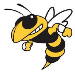 Hinsdale South High School mascot