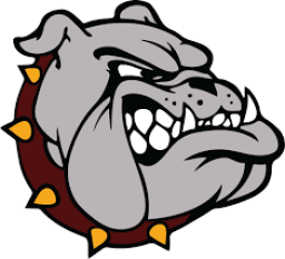 Madison High School mascot