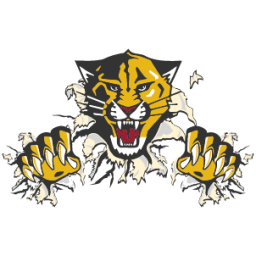 Haven High School mascot