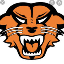 Monroe High School mascot