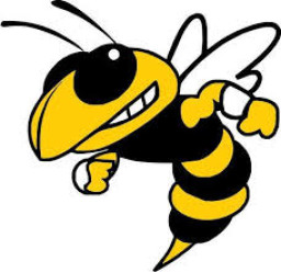 Hayesville High School mascot